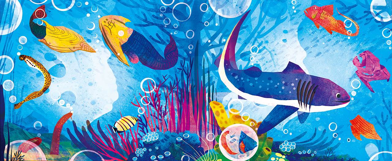 《穿越时空的自然博物馆》绘本合集