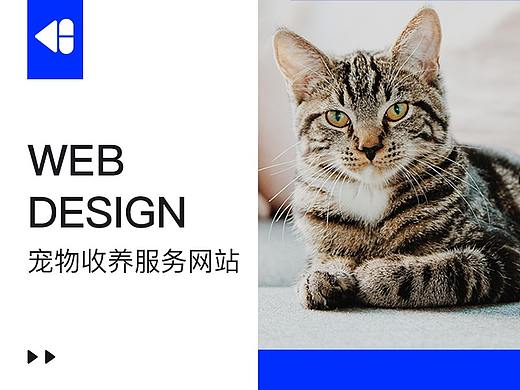 毛宠-宠物收养服务网站（个人主页-ZMjkxMDE5Mjg=） - 企业官网 - 站酷设计师紫夜_Luly原创素材 - 站酷ZCOOL