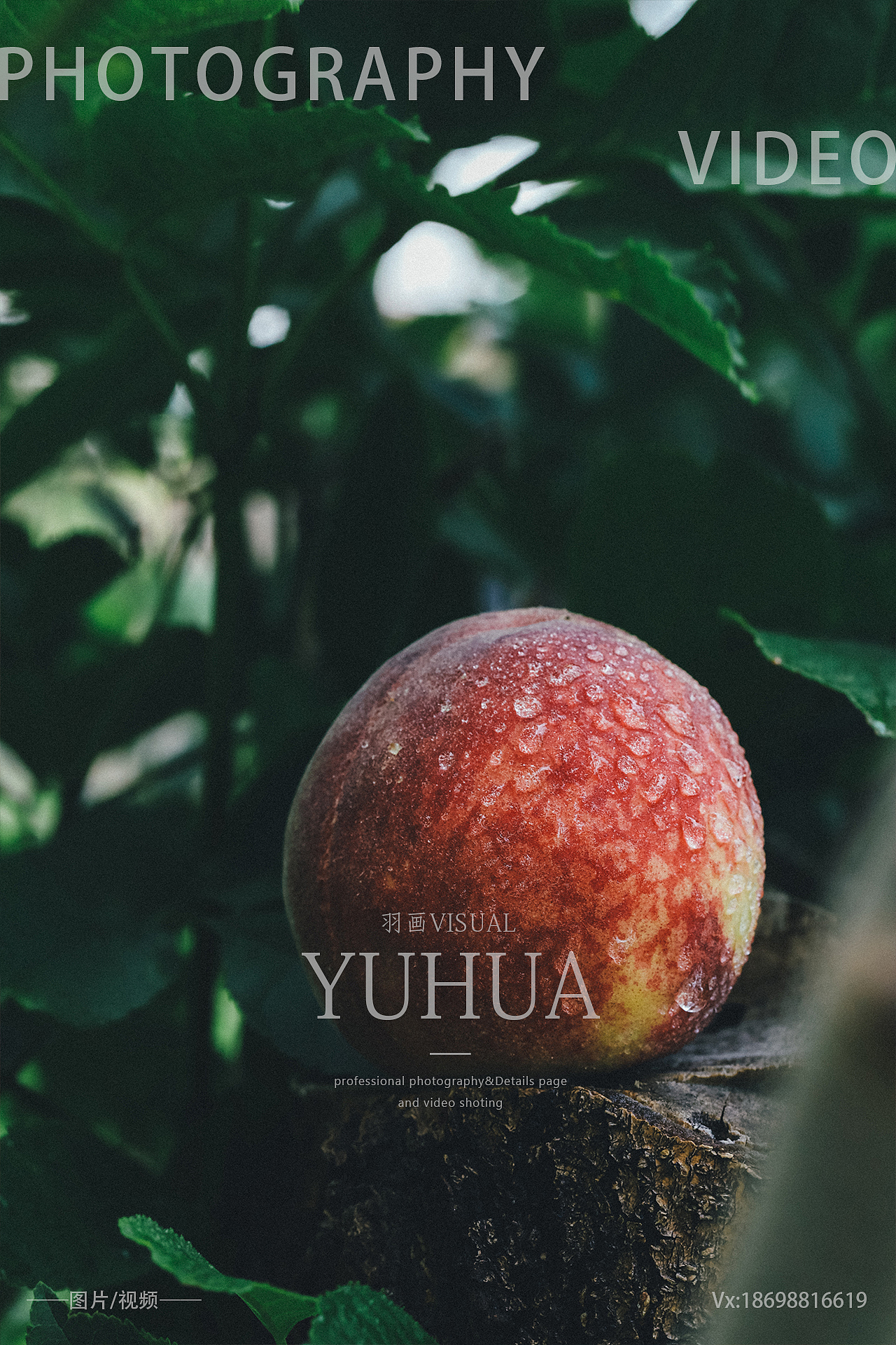 水蜜桃摄影新鲜桃子拍照毛桃油桃拍摄水果蟠桃毛桃子