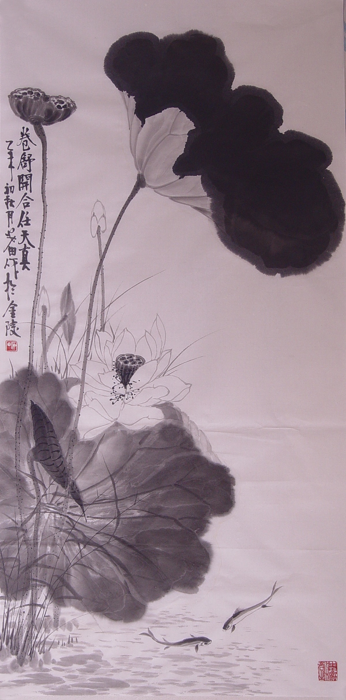 水墨清华——荷花作品欣赏!