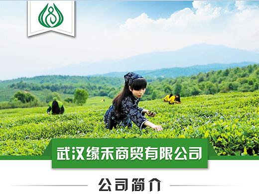 公司X展架