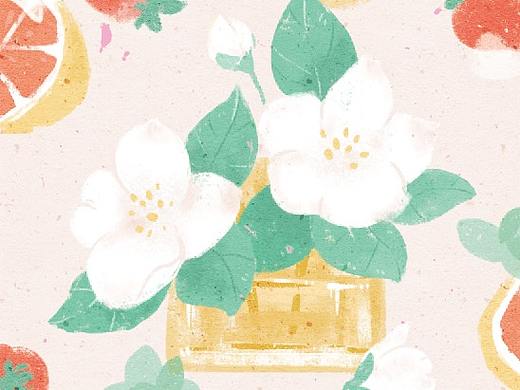 香氛手札 浪漫香水与植物 插画明信片