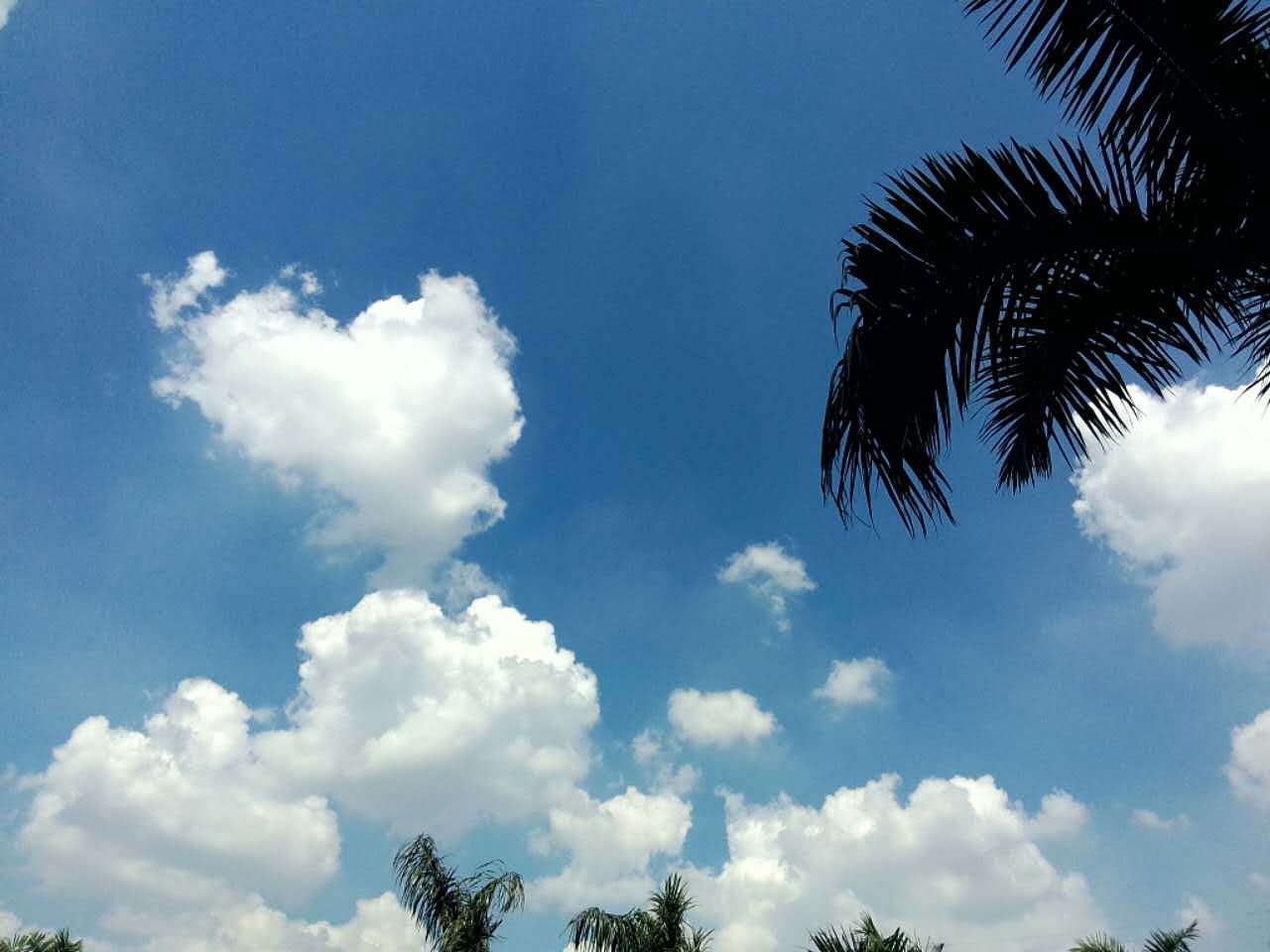 手機(jī)隨拍（圖ZMzg0NjkzMTI=） - 風(fēng)光攝影 - 站酷設(shè)計(jì)師尹斗斗原創(chuàng)素材 - 站酷ZCOOL