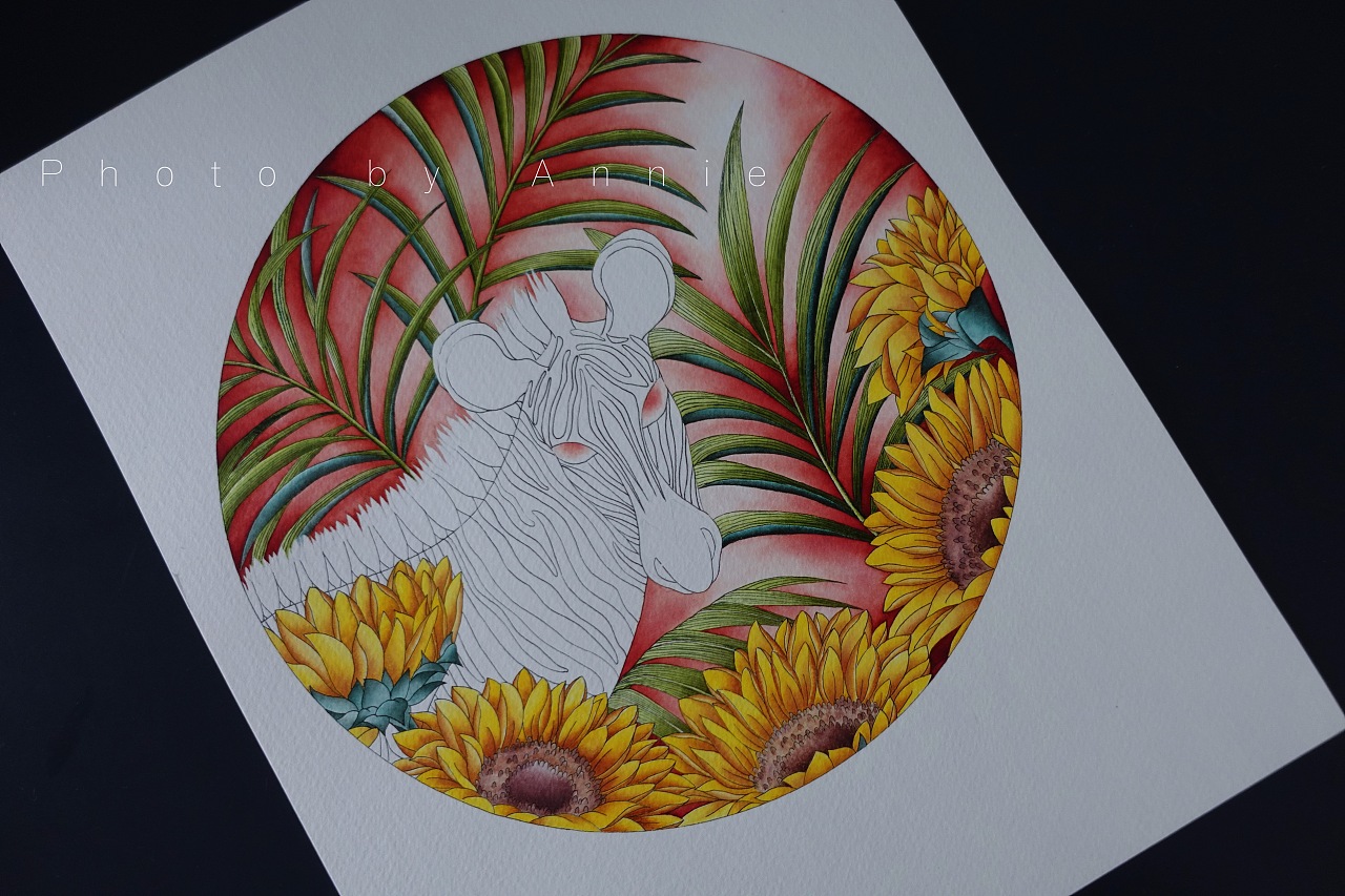 《植物与动物》系列