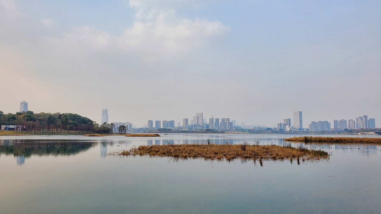 手机摄影（图ZMjkyODkzMTg4） - 人文/纪实摄影 - 站酷设计师C大猫原创素材 - 站酷ZCOOL