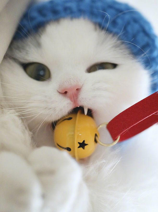 陆可小小的个人主页（背景预览） - 主页背景设置 - 站酷设计师陆可小小原创素材 - 站酷ZCOOL