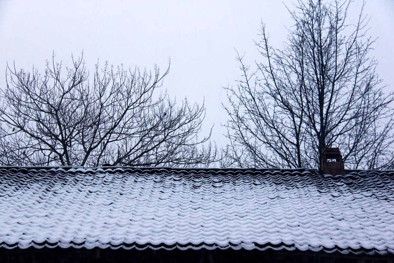 日暮苍山远,天寒白屋贫.柴门闻犬吠,风雪夜归人.