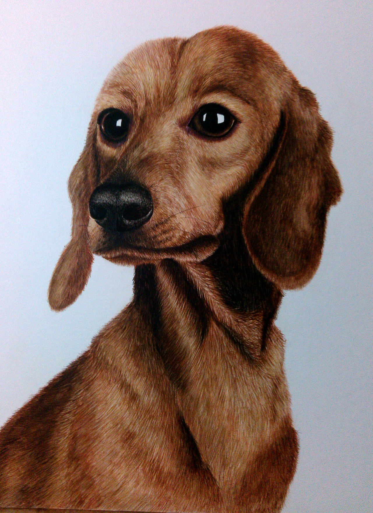 沈阳/插画师/7年前/294浏览锴叔画狗