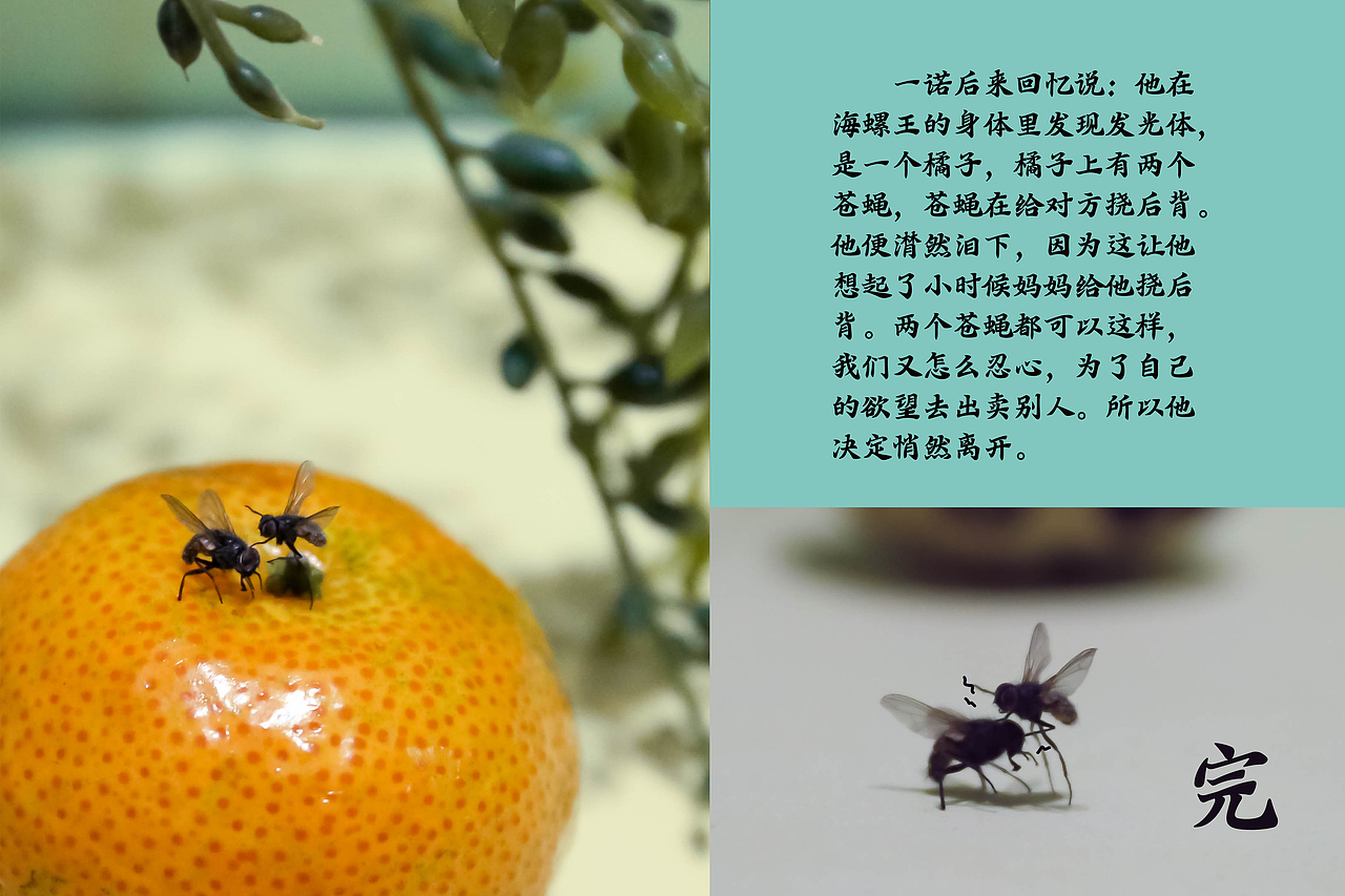 纯属娱乐的第一次微拍记录。