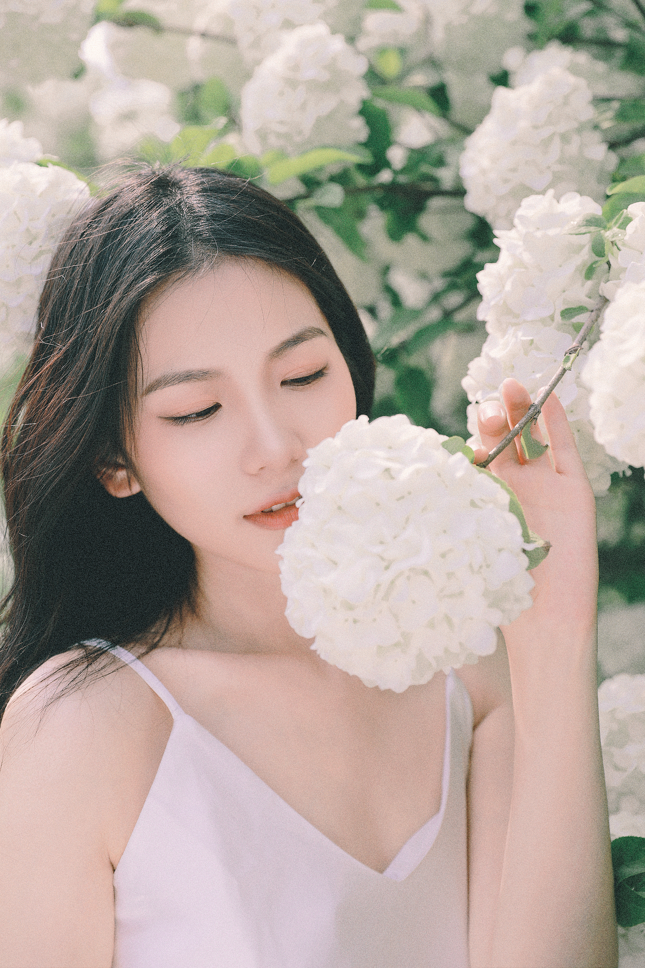 四月的木绣球（图ZMzIxMzc4MzMy） - 人像摄影 - 站酷设计师北秋白_原创素材 - 站酷ZCOOL