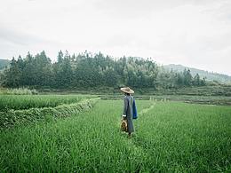 农产品包装,手绘创作