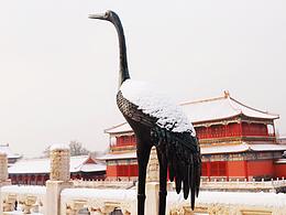 故宮·雪