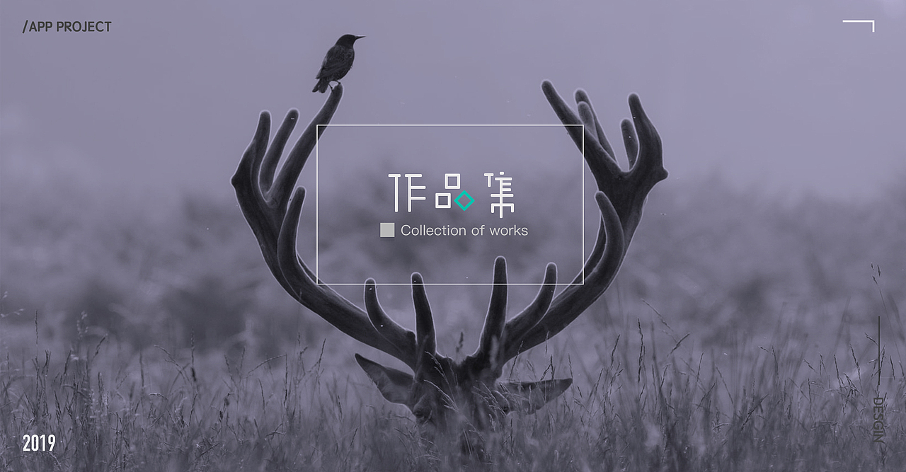 2019作品集