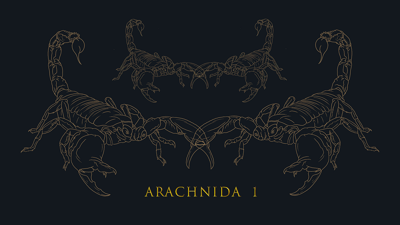 《野生保护动物名录》| 2020毕业设计