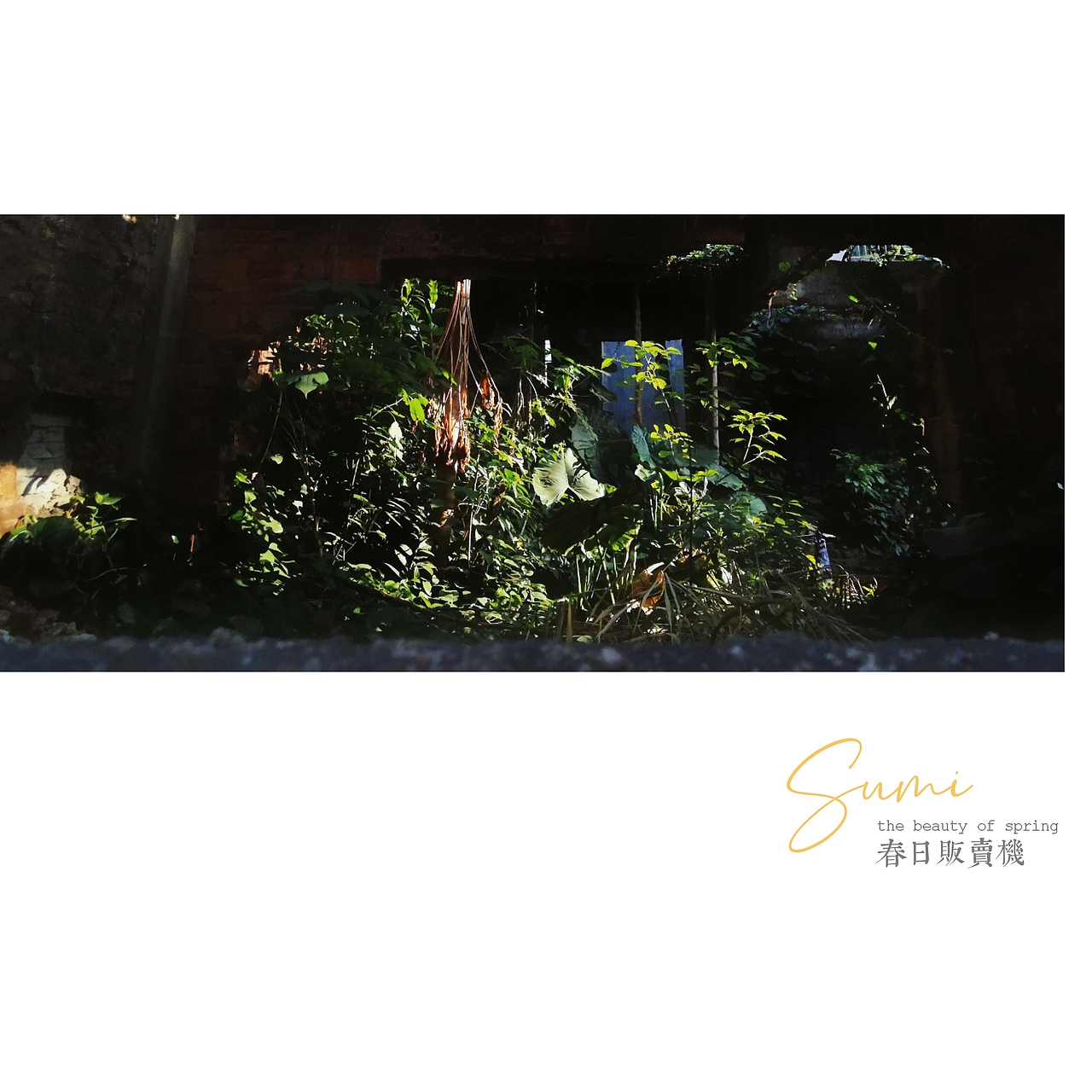 随拍（图ZMjQ4MjU4MTg4） - 风光摄影 - 站酷设计师Sumi粟米原创素材 - 站酷ZCOOL