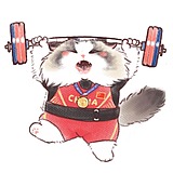 左右0的头像