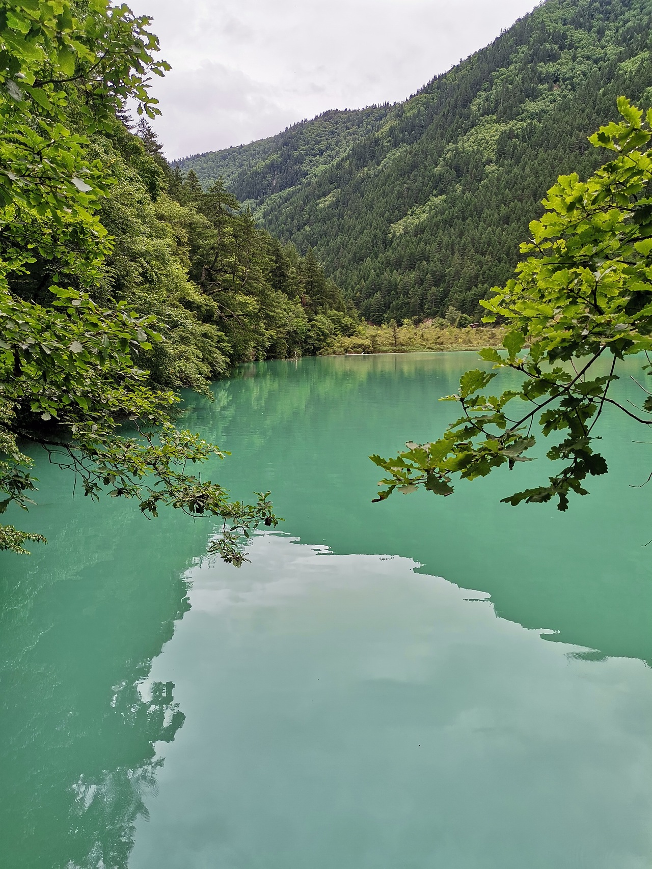 五彩缤纷九寨沟(下)