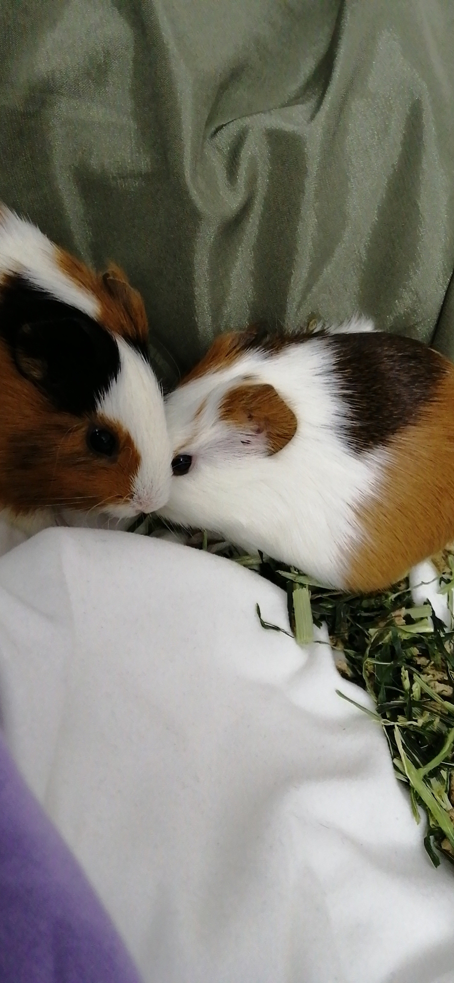 境源己造,相由心生