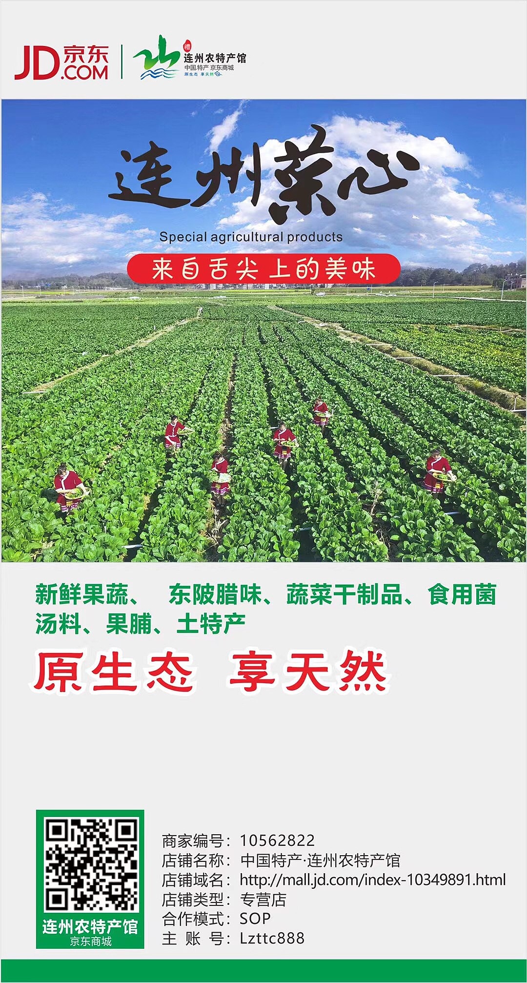 连州菜心品牌推广（图ZMjUwNjA0NjQ4） - 品牌 - 站酷设计师张贤杪原创素材 - 站酷ZCOOL