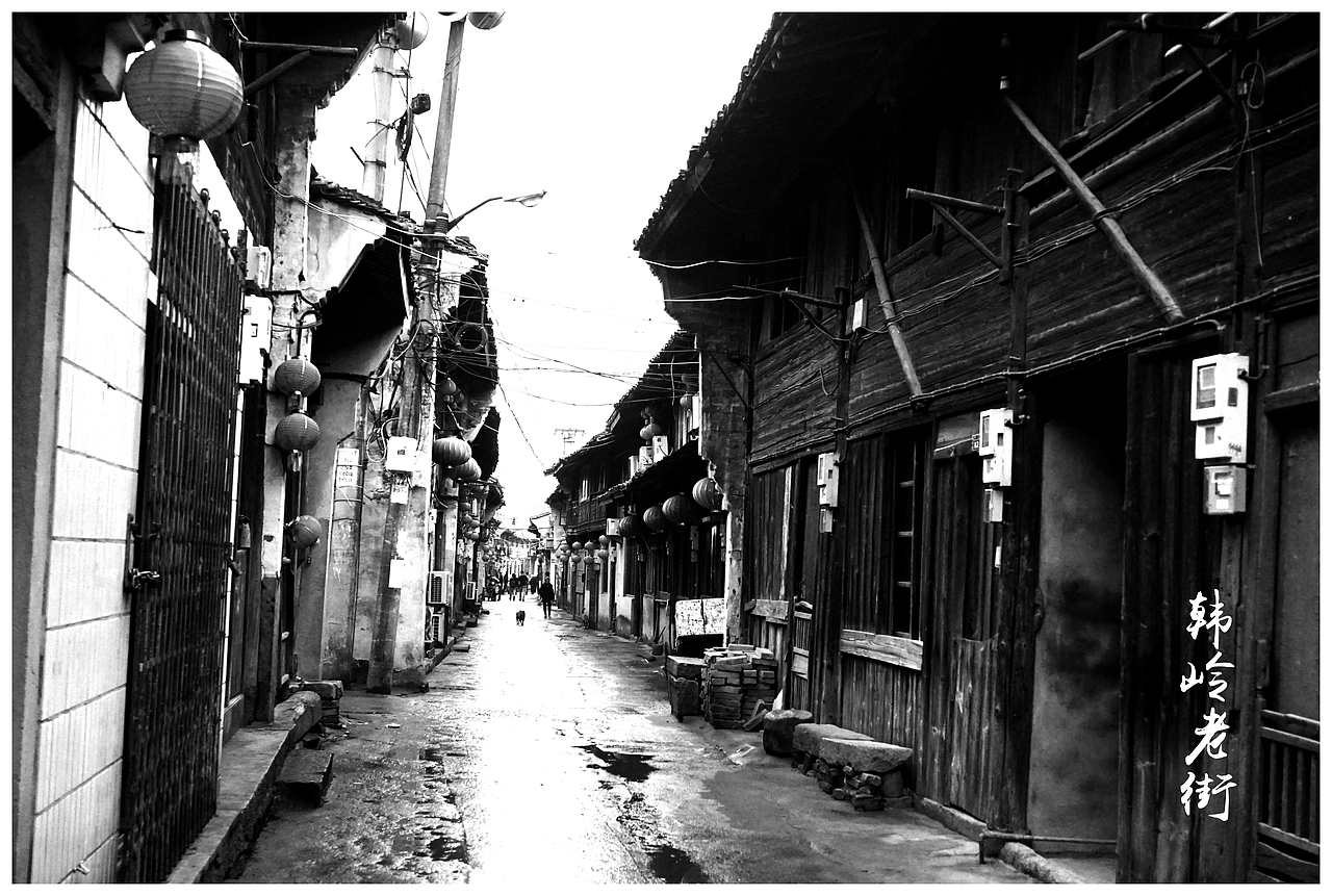 宁波东钱湖首次微单摄影作品