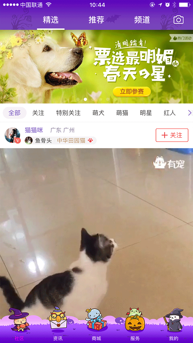 App可爱万圣节皮肤（图ZMTQ4NzIxMzI0） - 主题/皮肤 - 站酷设计师怪兽很瘦原创素材 - 站酷ZCOOL