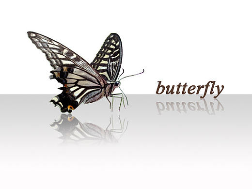 临摹（个人主页-ZMjU4NzMwODQ=） - 其他平面 - 站酷设计师鱼老大6原创素材 - 站酷ZCOOL