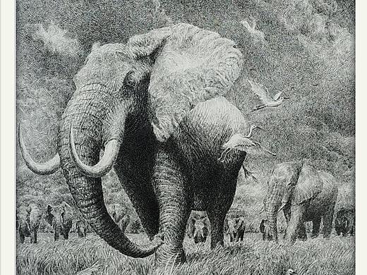 钢笔写实插画