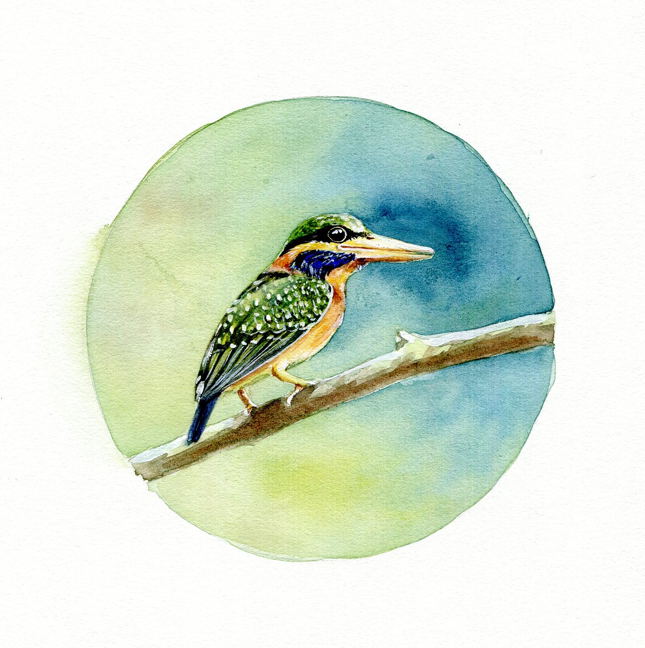 鸟（图ZMTgyMTExNzky） - 艺术插画 - 站酷设计师夏小嫣然原创素材 - 站酷ZCOOL