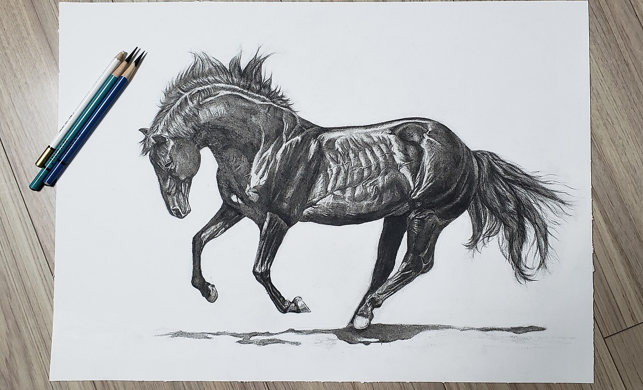 马到成功|纯艺术|绘画|大叔阿仁alan_临摹作品-站酷zcool