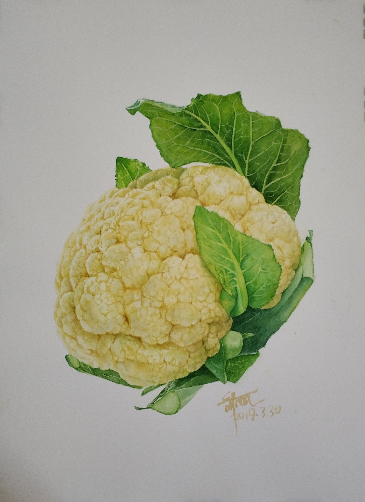 水彩蔬菜