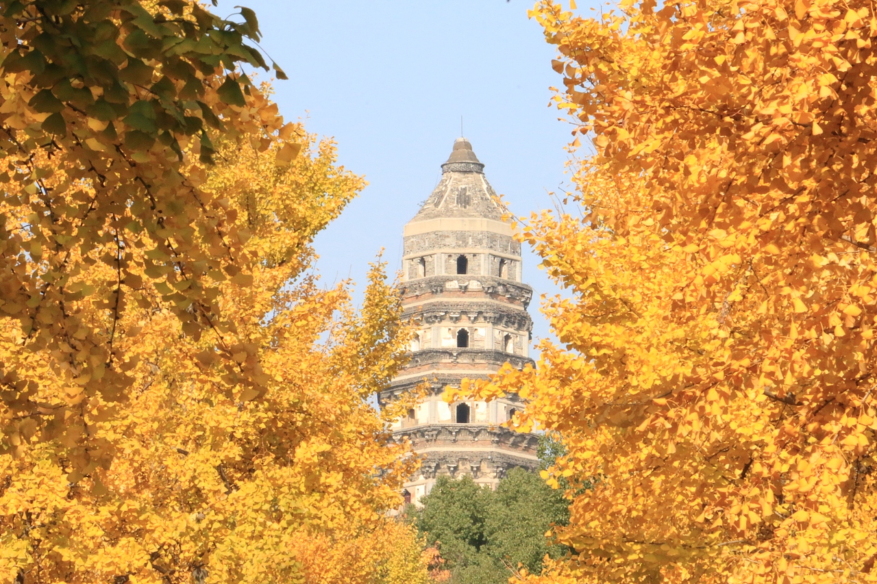 2018摄影作品合集 | 一声惊笛顾白衣