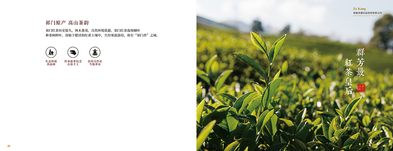 画册（图ZMjMwMjMxOTcy） - 书籍/画册 - 站酷设计师秋香公子原创素材 - 站酷ZCOOL