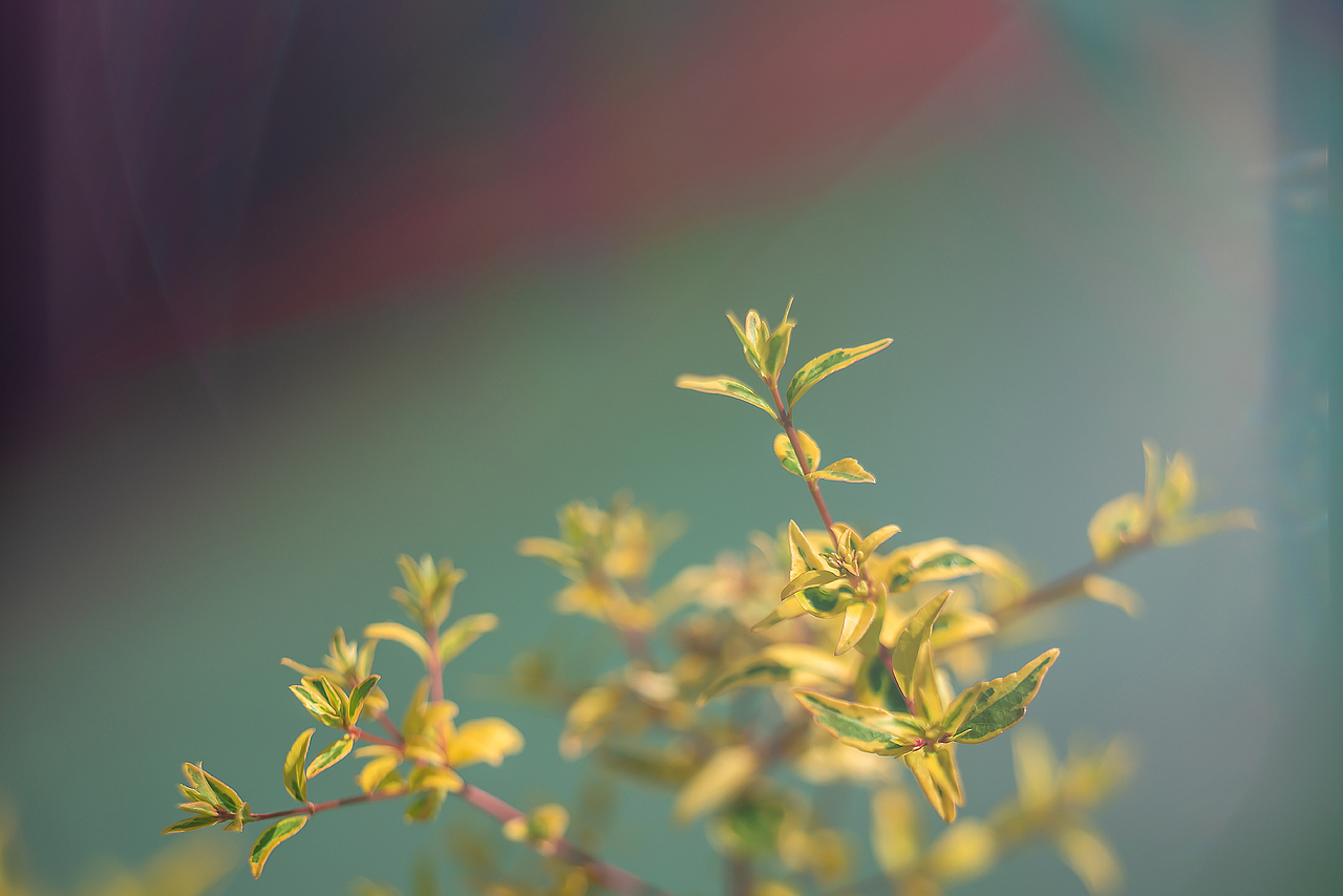 《要有光》（图ZMzA5OTYyNTg4） - 风光摄影 - 站酷设计师Alex1205原创素材 - 站酷ZCOOL