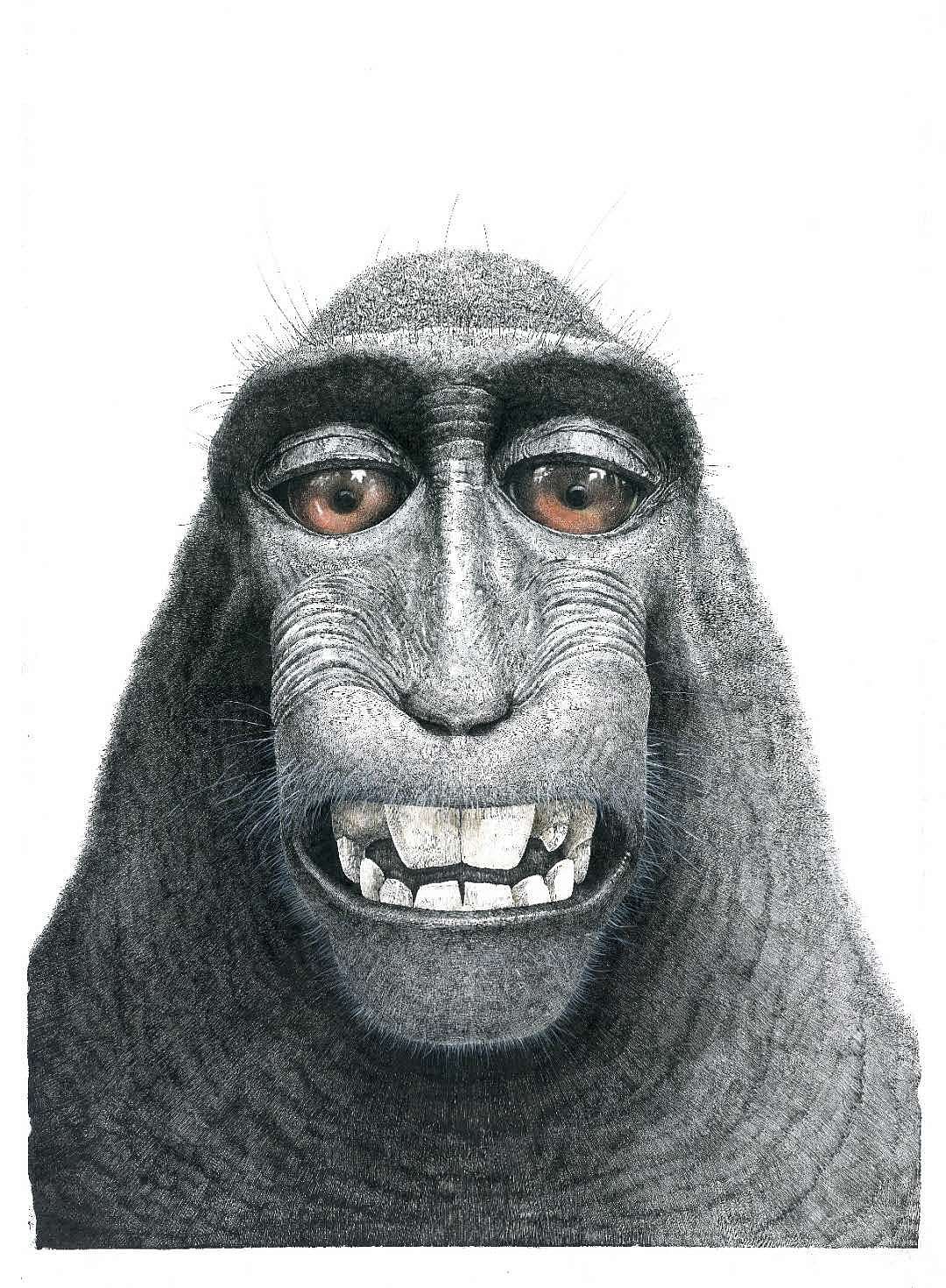 可愛的小猩猩卡通擺姿勢, 靈長類動物, 四面, 微笑向量圖案素材免費下載，PNG，EPS和AI素材下載 - Pngtree
