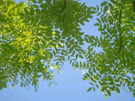 新媒体广告 banner 图（个人主页-ZNjQ5NTA3MjA=） - 其他平面 - 站酷设计师南栀半夏原创素材 - 站酷ZCOOL