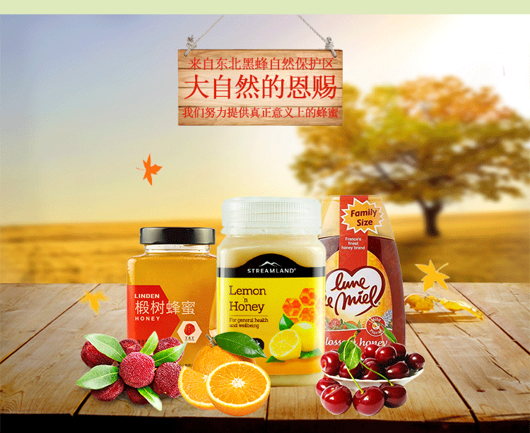 蜂蜜详情页（图ZMTI1MjM0OTQ0） - 其他平面 - 站酷设计师三分鈡热度原创素材 - 站酷ZCOOL
