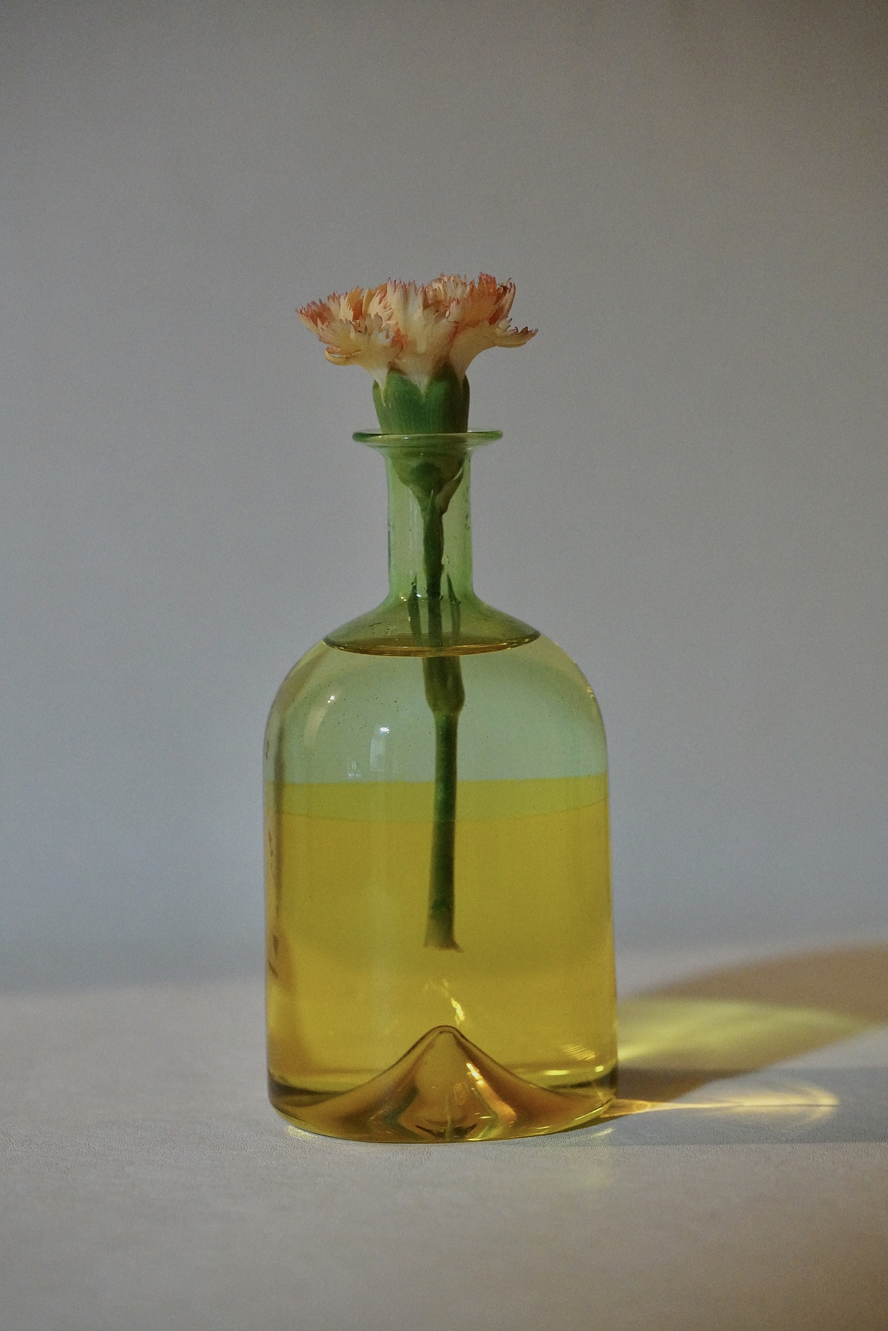 Play with the bottle之花与果