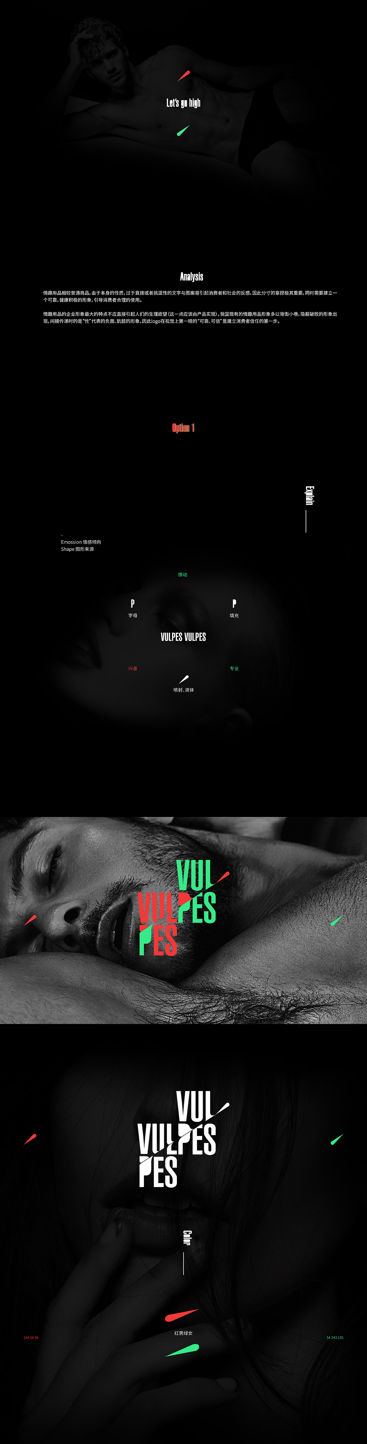 Vulpes Vulpes | Let's Go High