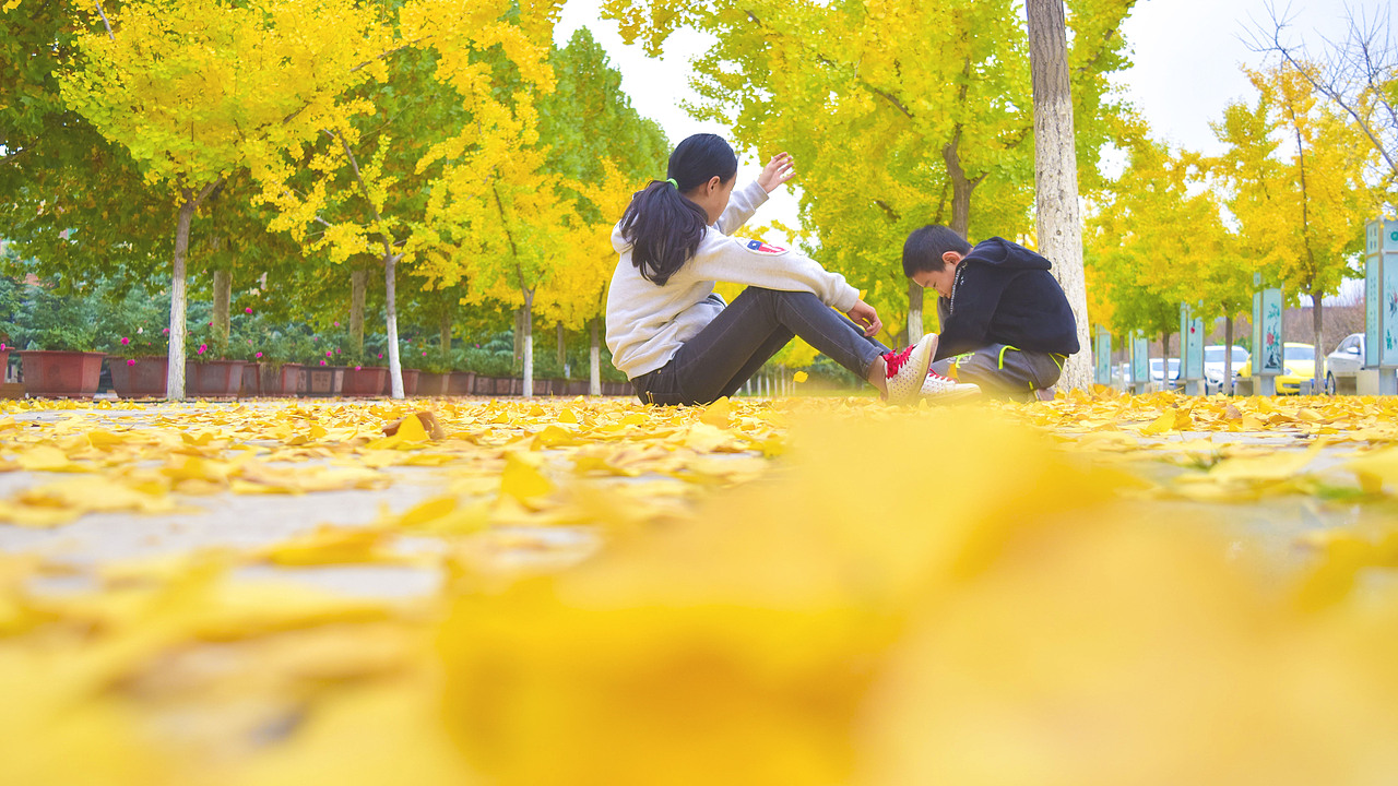 siSter 、brOther and银杏树（图ZOTU1ODM5ODA=） - 人像摄影 - 站酷设计师苏锦锦原创素材 - 站酷ZCOOL