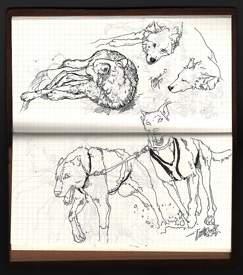 猫猫狗狗马马 ……小集（图ZOTg5NjA0MzI=） - 绘画 - 站酷设计师DX_IDO原创素材 - 站酷ZCOOL