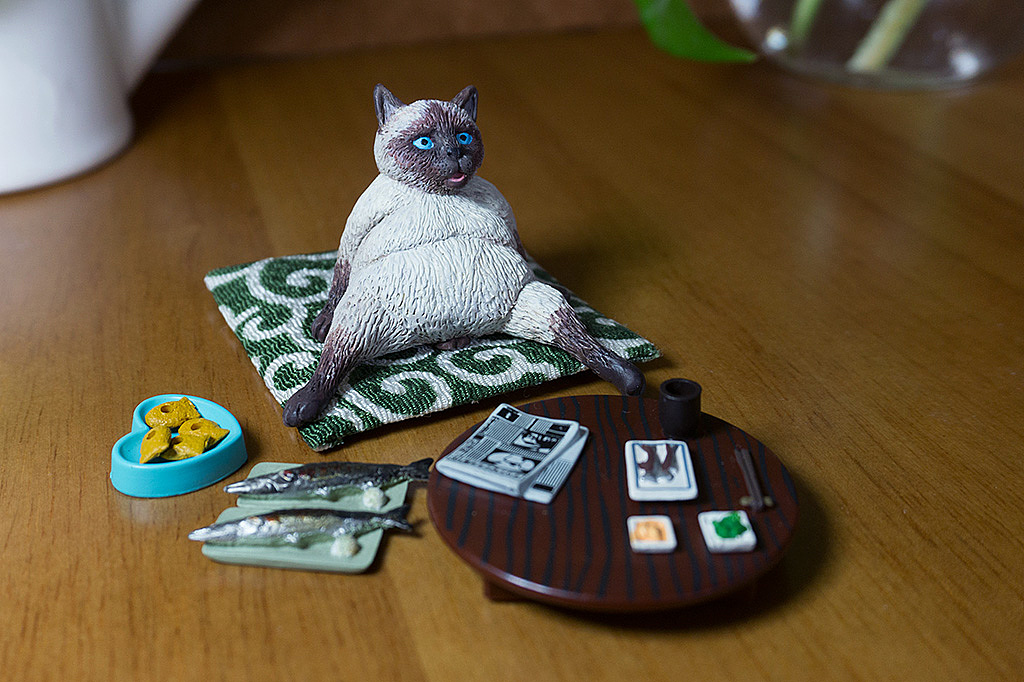 6只小咪：这泡面我们能压一年鸭！（图ZMTQ4ODM3MzEy） - 手办/模玩 - 站酷设计师WMM王麦麦原创素材 - 站酷ZCOOL