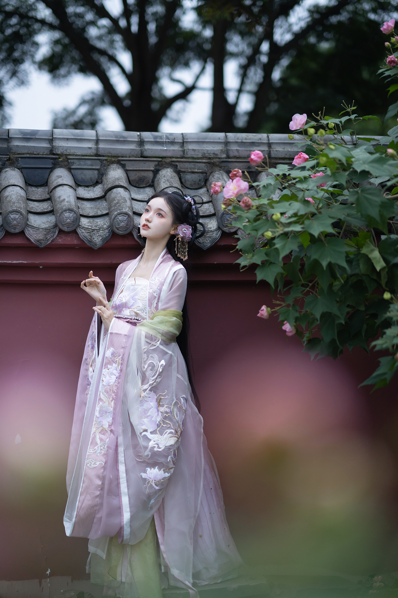 【一渠芙蓉】