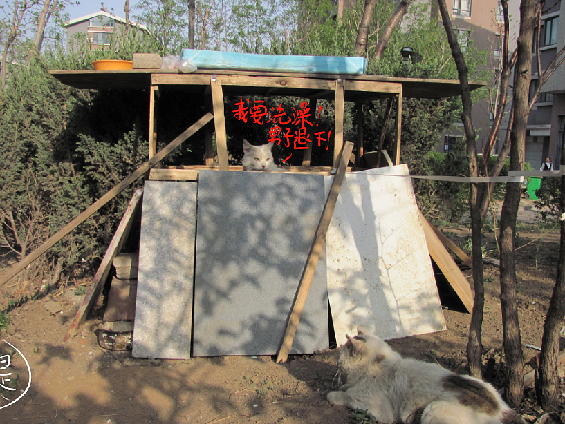 我结交了一群新朋友（图ZMjc2MjE1MDQ=） - 文案/策划 - 站酷设计师画师x如也原创素材 - 站酷ZCOOL