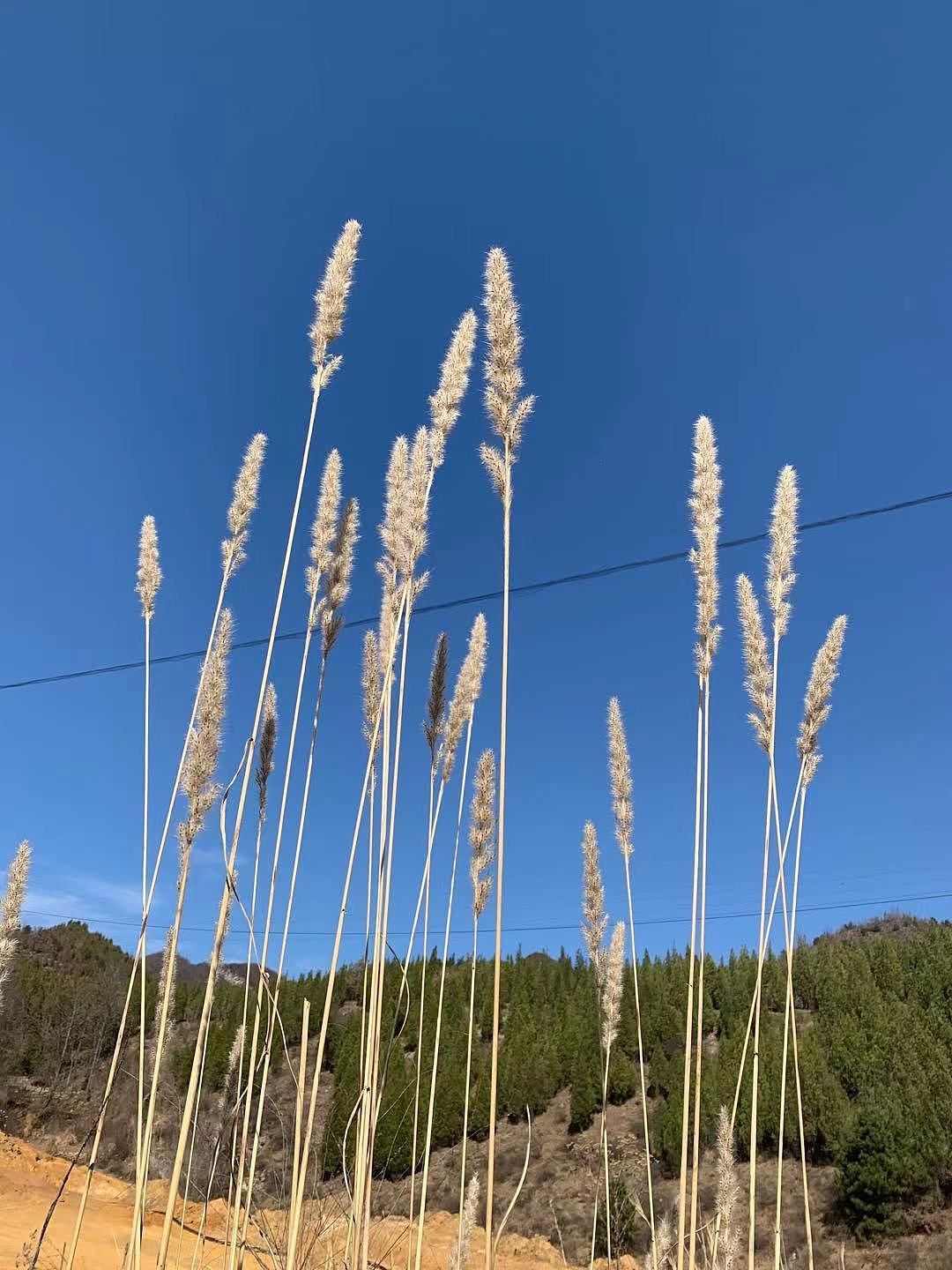 栾川美景手机随拍