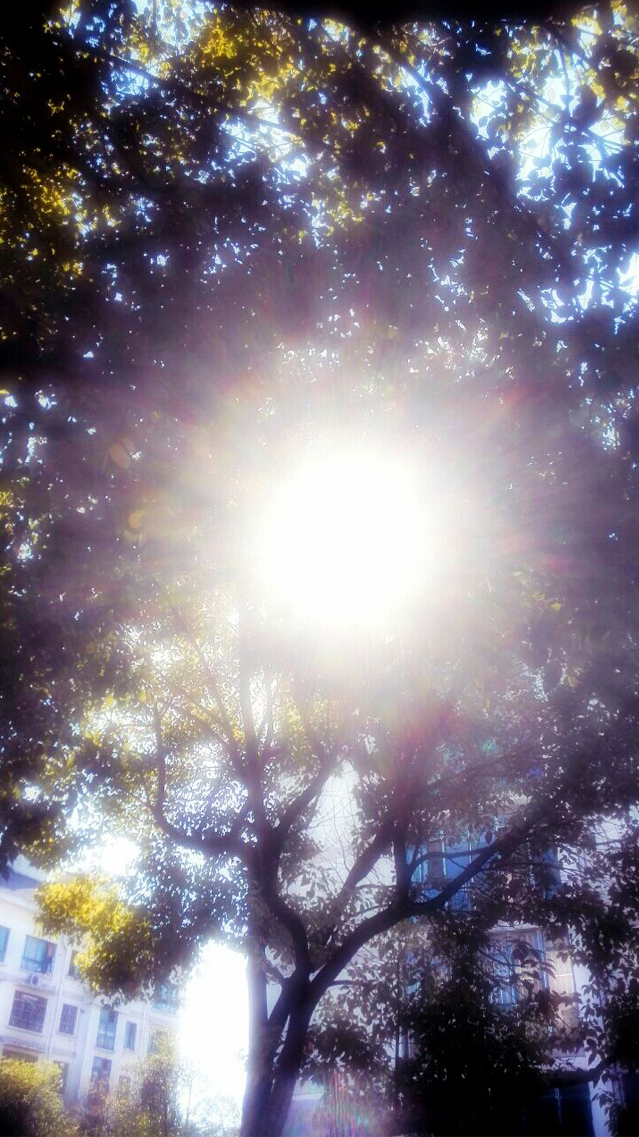 手机拍摄（图ZMzYyMzA2NDg=） - 其他摄影 - 站酷设计师海盗火原创素材 - 站酷ZCOOL