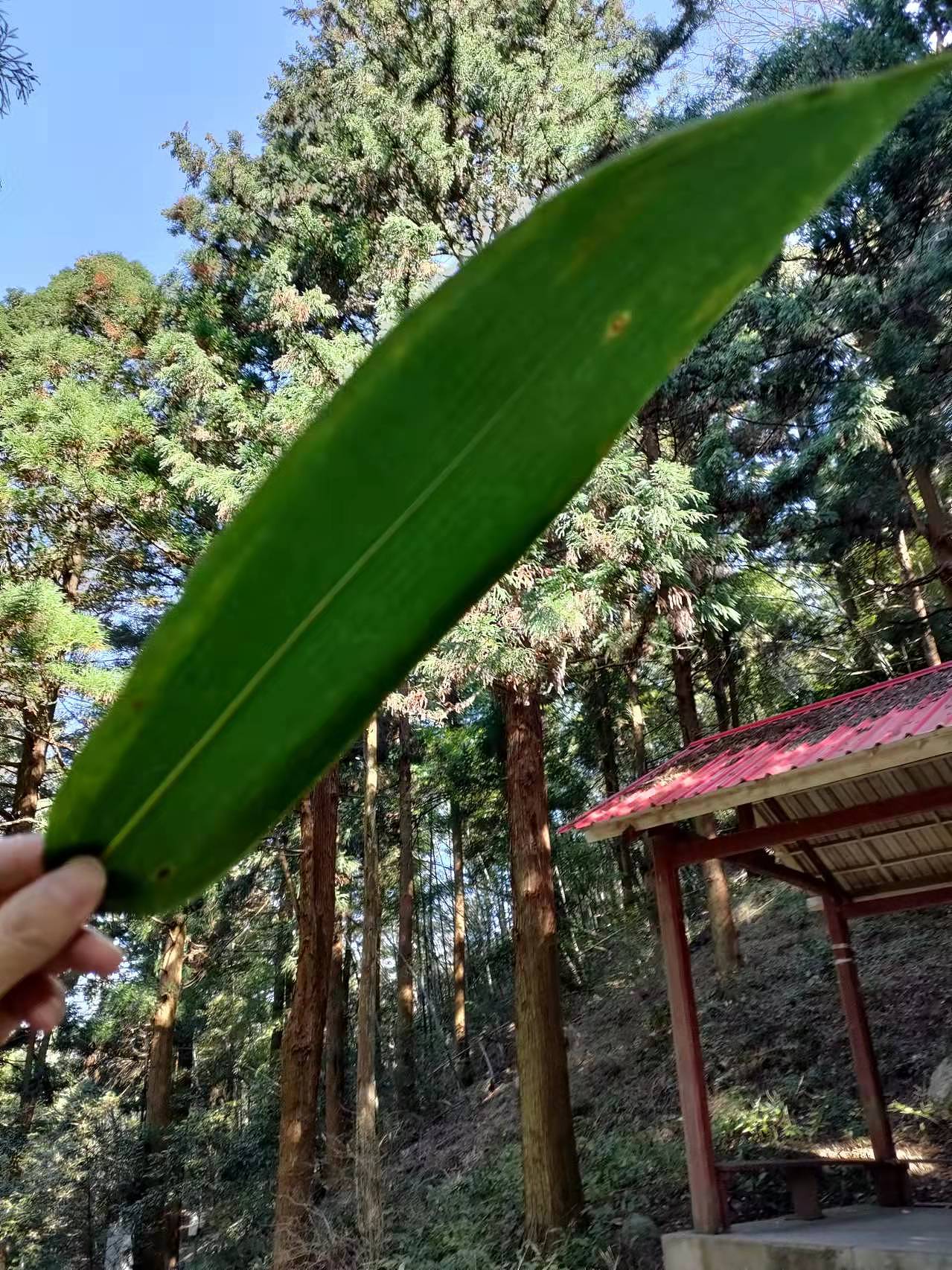 2021用手机拍摄的没有人物的照片