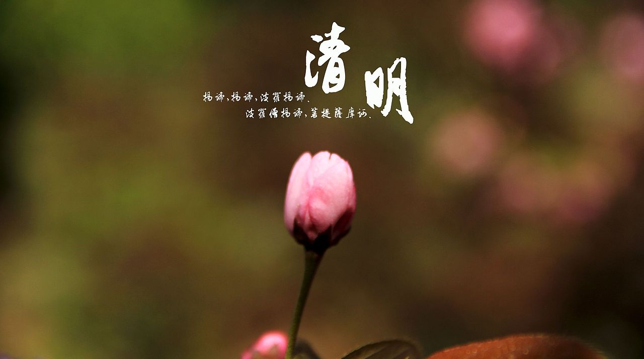 大桥下的石头（图ZODkzMzkwOA==） - 风光摄影 - 站酷设计师半道子原创素材 - 站酷ZCOOL