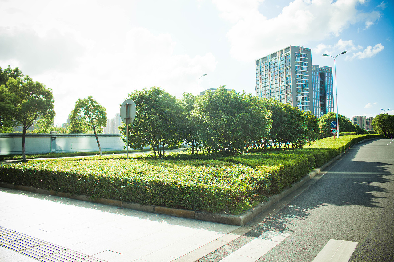 摄影入门路程-聚贤路 沿街绿化景观