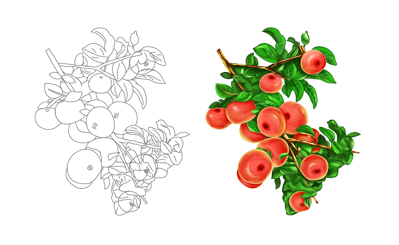 2021年度品牌包装设计合集（图ZMjg2NDUwNzg4） - 品牌 - 站酷设计师理想之光Design原创素材 - 站酷ZCOOL