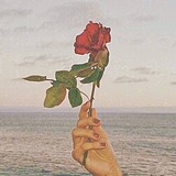 浅浅楠的头像